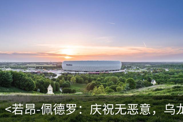 <若昂-佩德罗：庆祝无恶意，乌龙后已道歉>