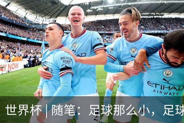 世界杯 | 随笔：足球那么小，足球这么大
