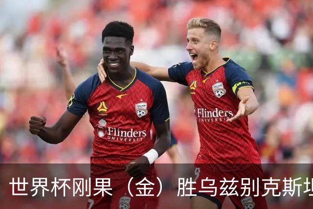 世界杯刚果（金）胜乌兹别克斯坦 韩国无缘32强