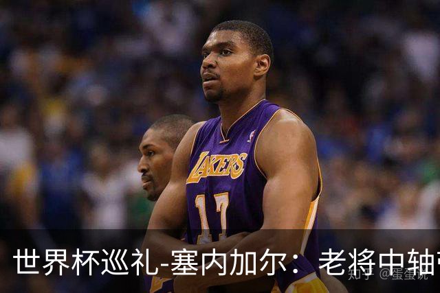 世界杯巡礼-塞内加尔：老将中轴带来安全感，非洲顶流前景可期！