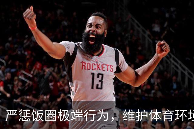 严惩饭圈极端行为，维护体育环境