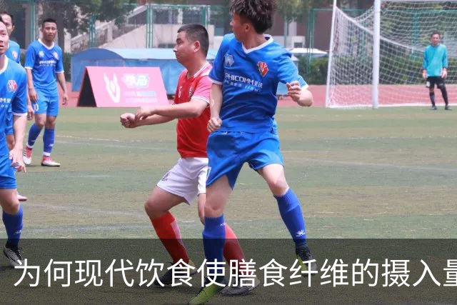 为何现代饮食使膳食纤维的摄入量下降？