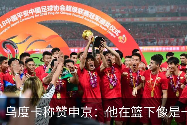 乌度卡称赞申京：他在篮下像是一头猛兽