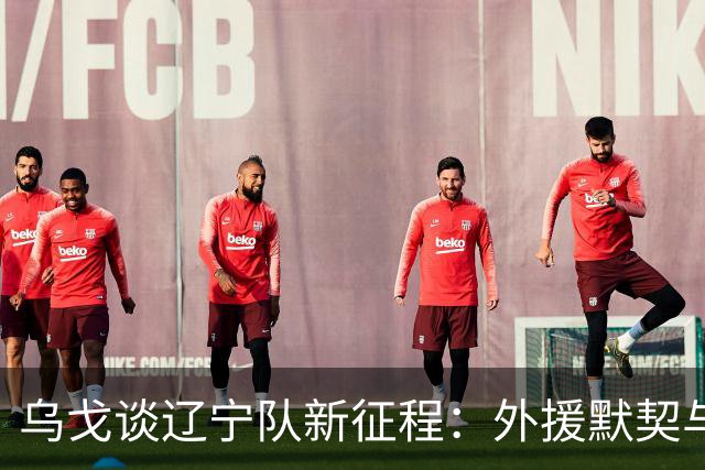 乌戈谈辽宁队新征程：外援默契与年轻球员突破