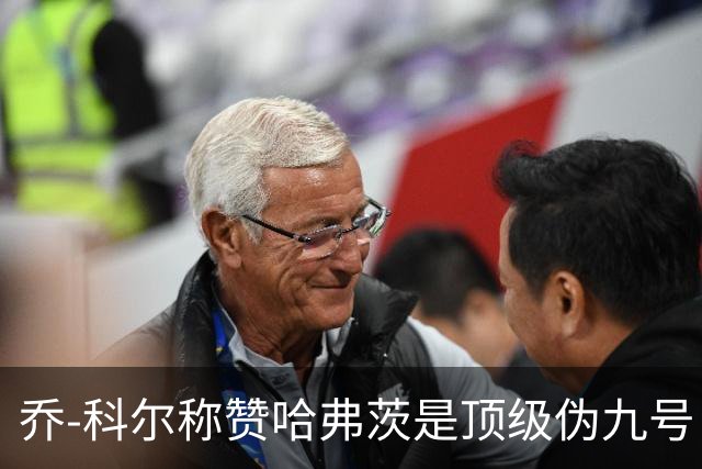 乔-科尔称赞哈弗茨是顶级伪九号