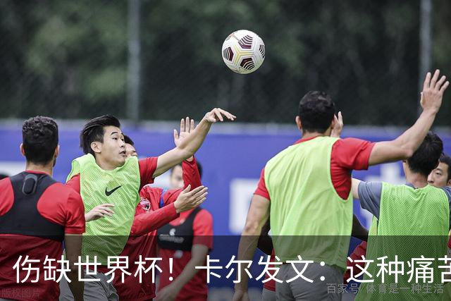 伤缺世界杯！卡尔发文：这种痛苦难以形容 为世界杯付出了一切