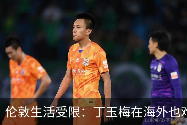 伦敦生活受限：丁玉梅在海外也难安生