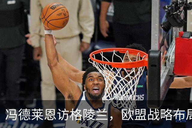 冯德莱恩访格陵兰，欧盟战略布局引发关注