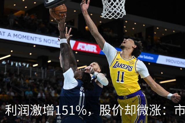 利润激增151%，股价却微涨：市场在静待何种信号？