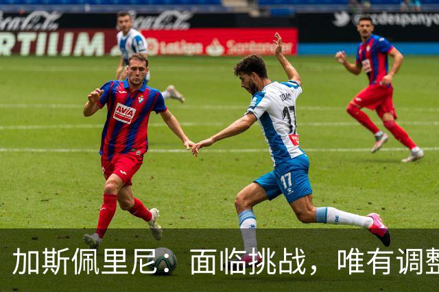 加斯佩里尼：面临挑战，唯有调整或承受结果