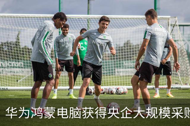 华为鸿蒙电脑获得央企大规模采购合同