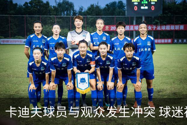 卡迪夫球员与观众发生冲突 球迷被逐出场未获惩罚