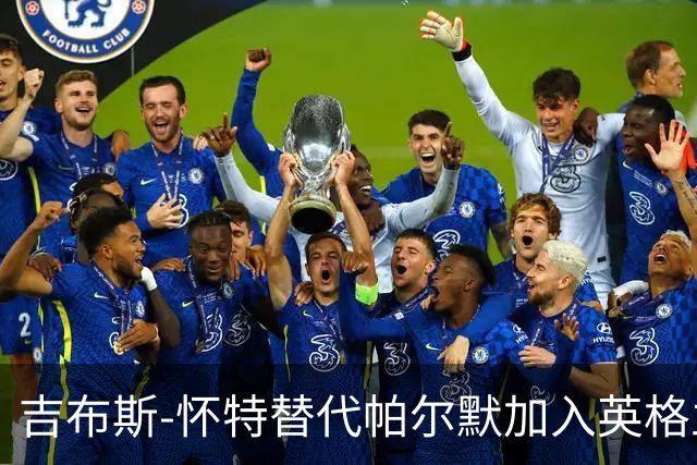 吉布斯-怀特替代帕尔默加入英格兰国家队