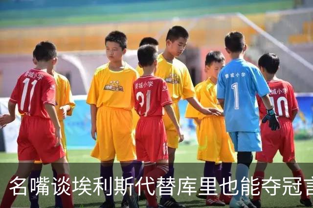 名嘴谈埃利斯代替库里也能夺冠言论：库里可是历史前二控卫