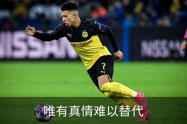 唯有真情难以替代