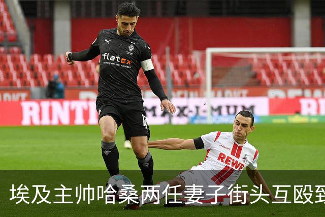 埃及主帅哈桑两任妻子街头互殴致其昏倒入院