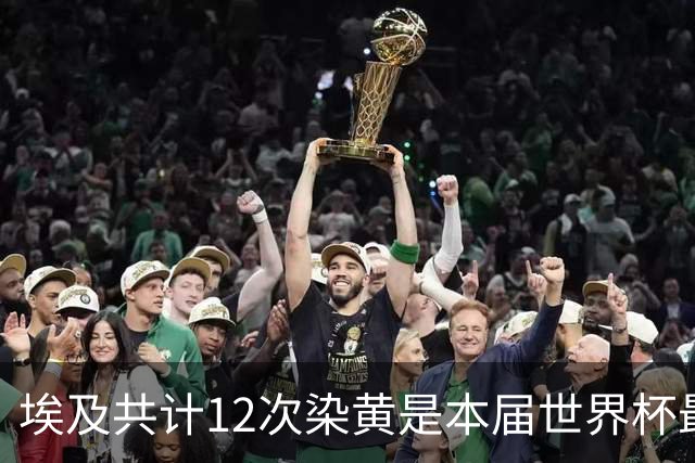 埃及共计12次染黄是本届世界杯最多，对阵阿根廷比赛时吃到3黄