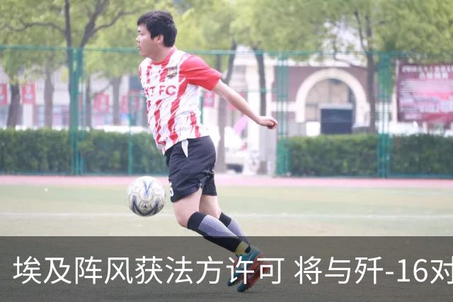 埃及阵风获法方许可 将与歼-16对抗