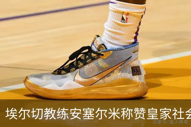 埃尔切教练安塞尔米称赞皇家社会，确认勒马尔可参赛