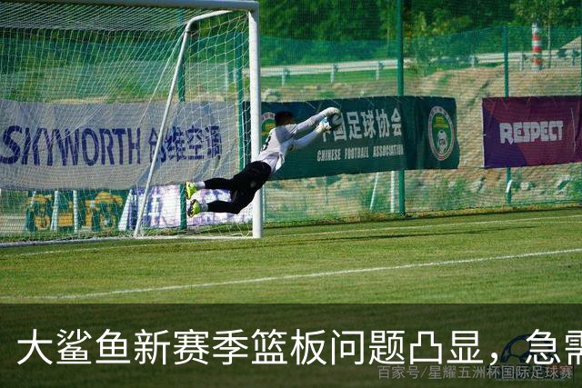大鲨鱼新赛季篮板问题凸显，急需解决