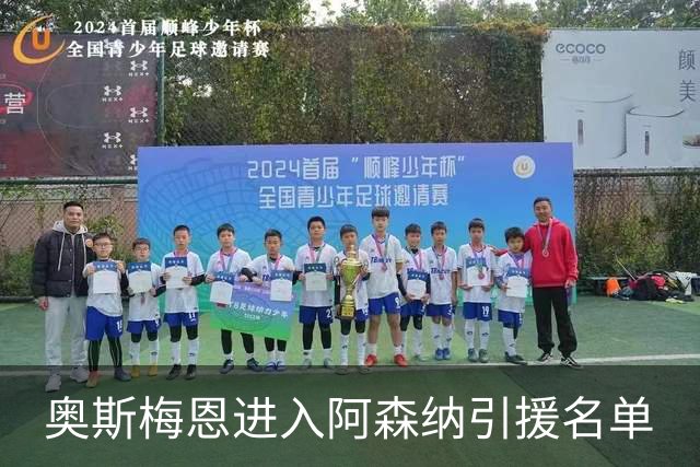 奥斯梅恩进入阿森纳引援名单