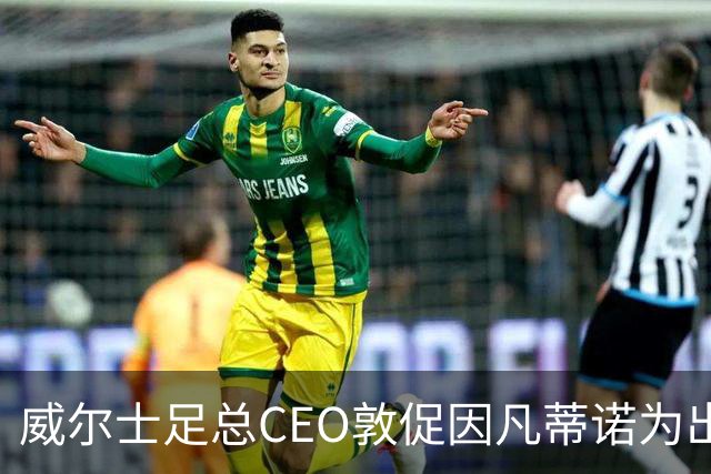 威尔士足总CEO敦促因凡蒂诺为出售计划承担责任并辞职