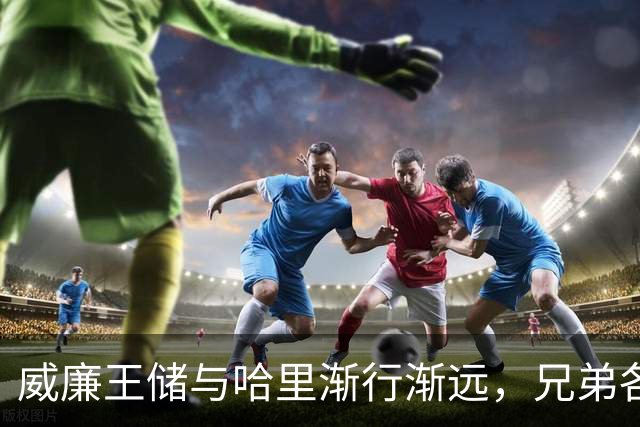 威廉王储与哈里渐行渐远，兄弟各自发展新动态