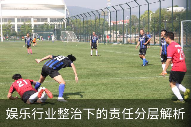 娱乐行业整治下的责任分层解析