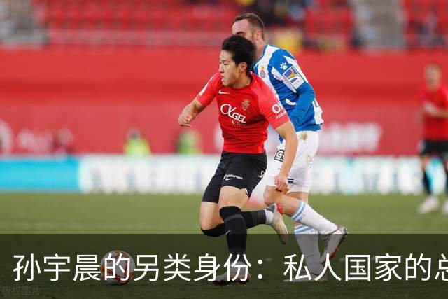 孙宇晨的另类身份：私人国家的总理