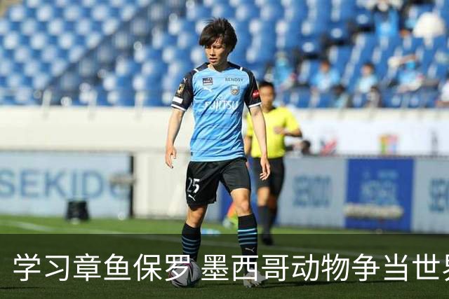 学习章鱼保罗 墨西哥动物争当世界杯预言家