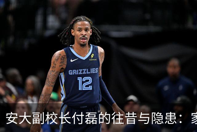 安大副校长付磊的往昔与隐患：家庭与职业的双重考验