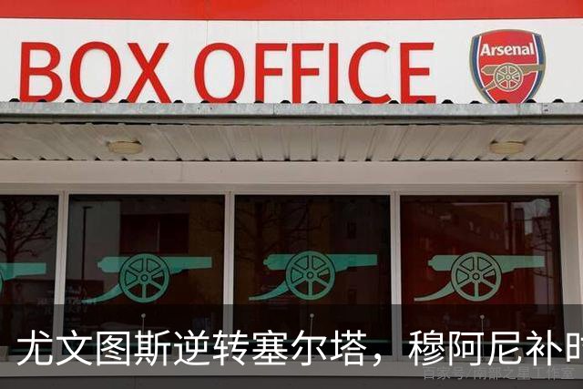 尤文图斯逆转塞尔塔，穆阿尼补时绝杀