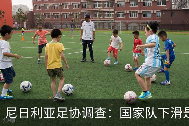 尼日利亚足协调查：国家队下滑是系统性问题