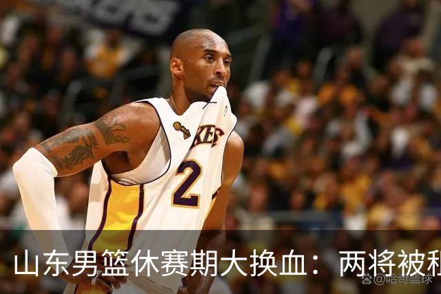 山东男篮休赛期大换血：两将被租借，开局用双外援