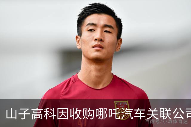 山子高科因收购哪吒汽车关联公司股权股价涨停