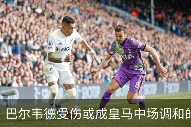 巴尔韦德受伤或成皇马中场调和的关键