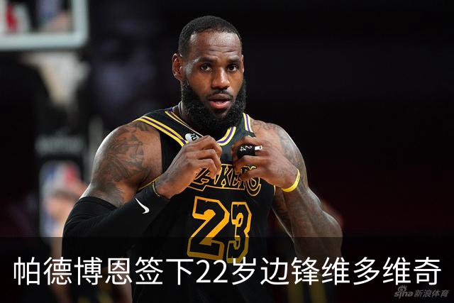 帕德博恩签下22岁边锋维多维奇