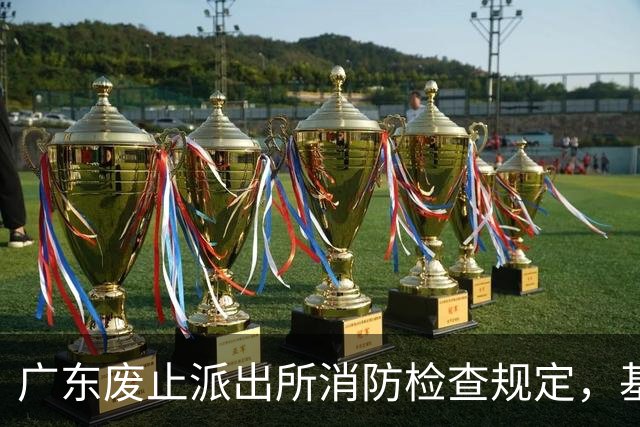 广东废止派出所消防检查规定，基层职责朝“协同”转变
