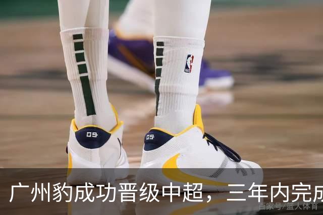 广州豹成功晋级中超，三年内完成三级跳