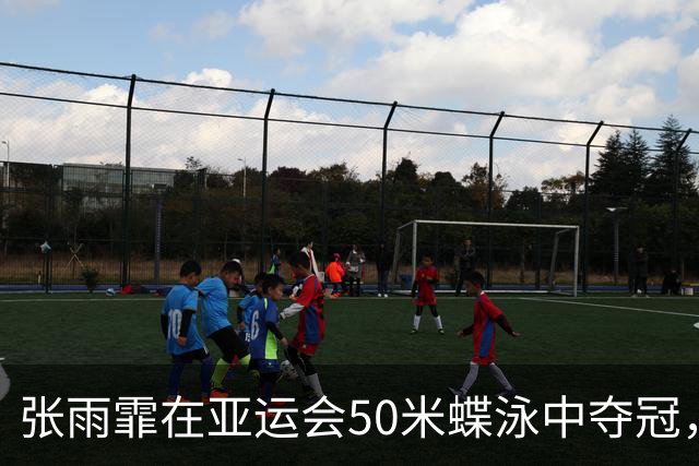 张雨霏在亚运会50米蝶泳中夺冠，感动泪洒颁奖台