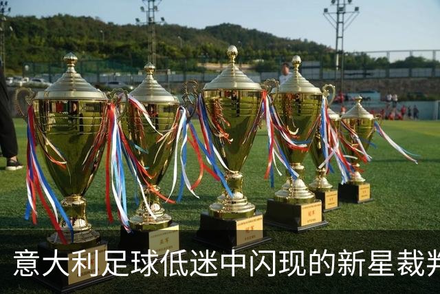意大利足球低迷中闪现的新星裁判朱莉安娜·维吉莱