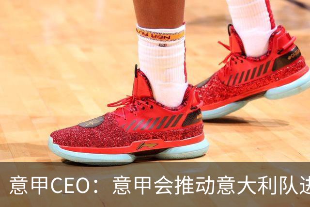 意甲CEO：意甲会推动意大利队进步 国家队低迷原因得追溯到20年前