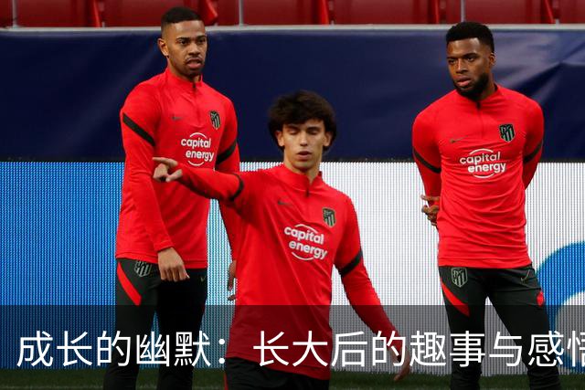 成长的幽默：长大后的趣事与感悟
