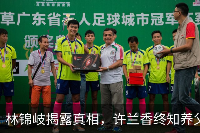 林锦岐揭露真相，许兰香终知养父的隐秘
