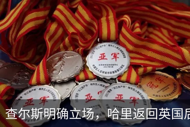 查尔斯明确立场，哈里返回英国后不再担任公务角色