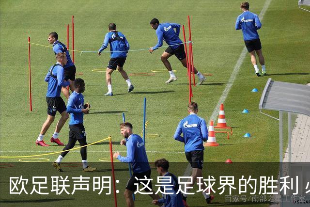 欧足联声明：这是足球界的胜利 必须查明责任人并追究责任