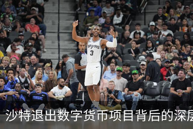 沙特退出数字货币项目背后的深层考量