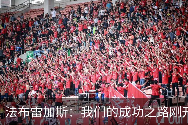 法布雷加斯：我们的成功之路刚开始，需持续努力