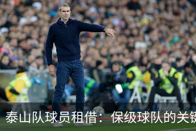 泰山队球员租借：保级球队的关键棋子