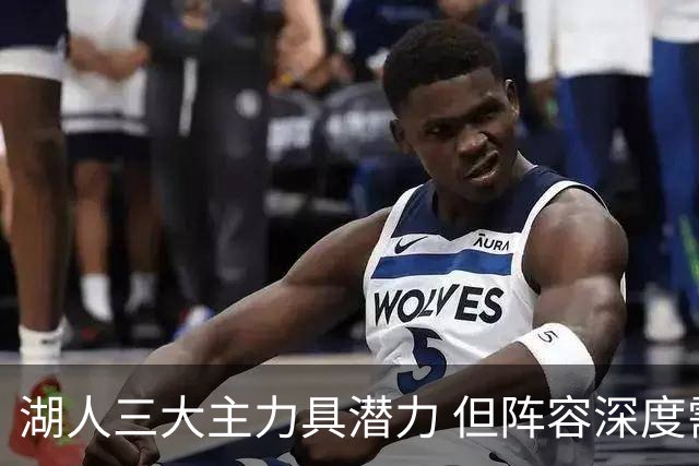 湖人三大主力具潜力 但阵容深度需加强